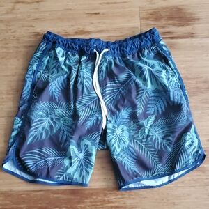 Fair Harbor Leaf Pattern Swim Trunks - Blue and Green